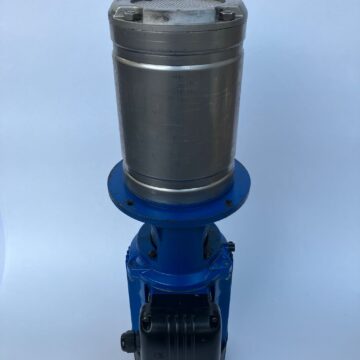 Pumpe Lowara SVI206/06S11T/A